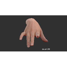 3D Realistic Female Hand - source file